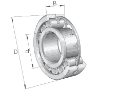 Роликоподшипники радиальные цилиндрические  с однобортовым внутренним кольцом, с дисковым или сегментным сепаратором LSL1923